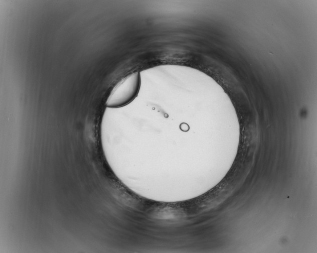 X0000100980755200807221233