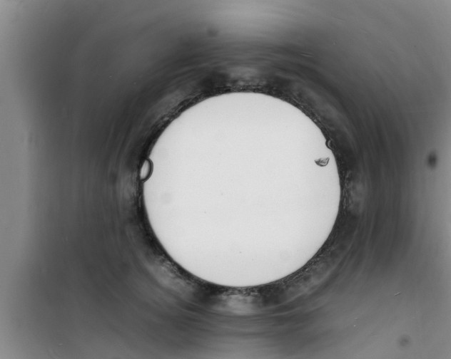 X0000100980756200807221233