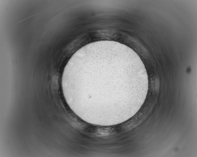 X0000100980757200807221233