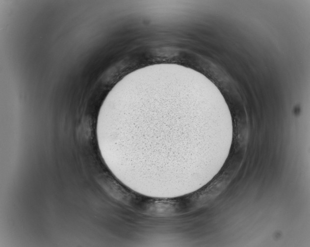 X0000100980758200807221233