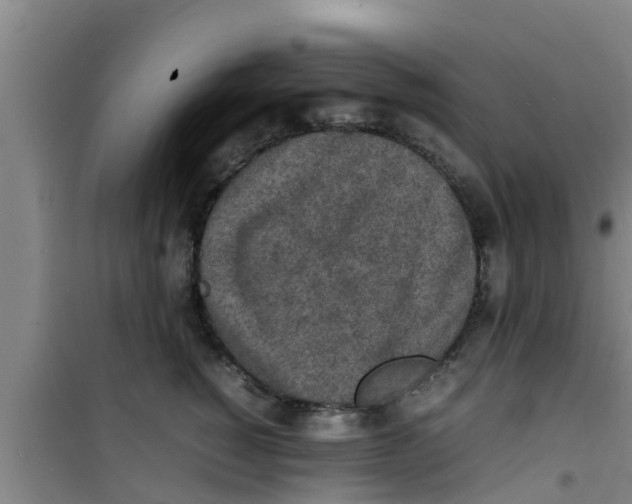 X0000100980760200807221233