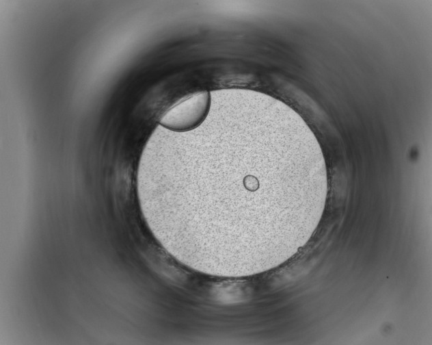 X0000100980761200807221233