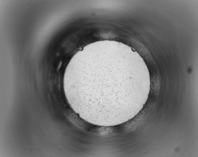 X0000100980762200807221233