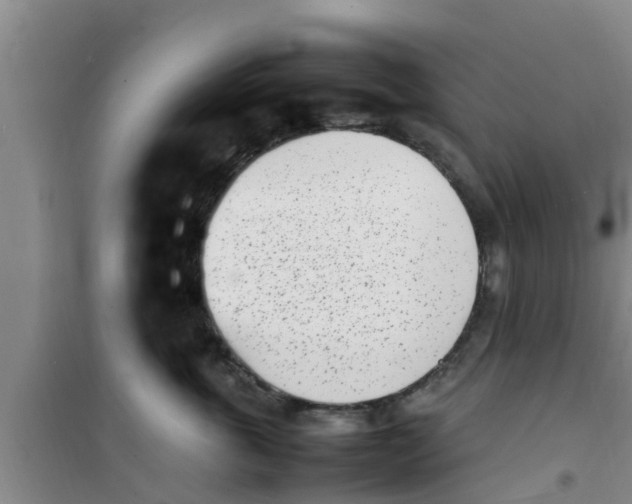 X0000100980763200807221233