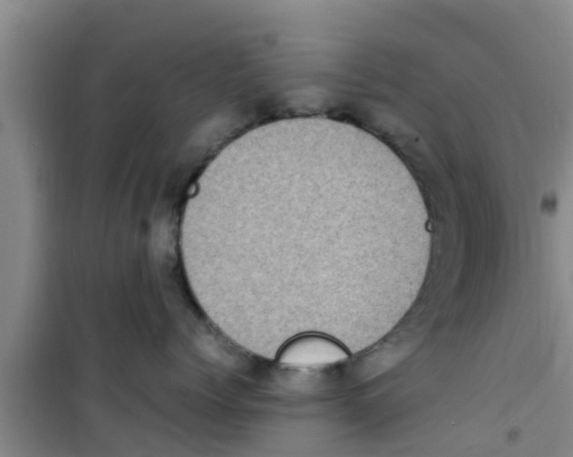 X0000100980768200807221233