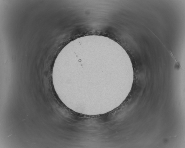 X0000100980769200807221232