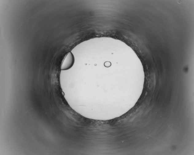 X0000100980770200807221232