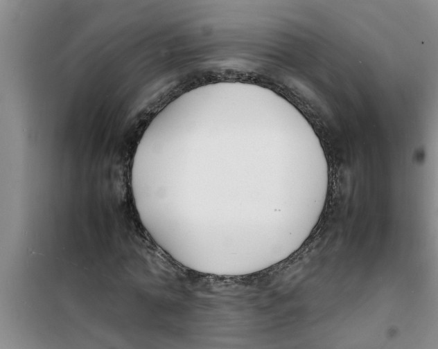 X0000100980774200807221232