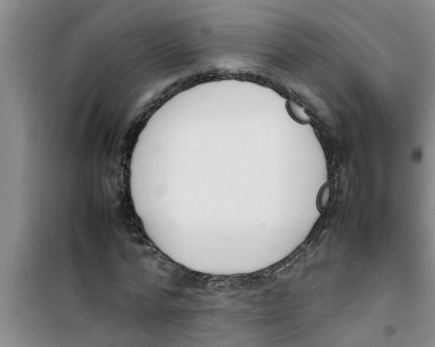 X0000100980776200807221232