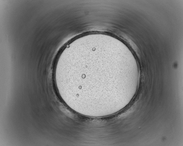 X0000100980779200807221232