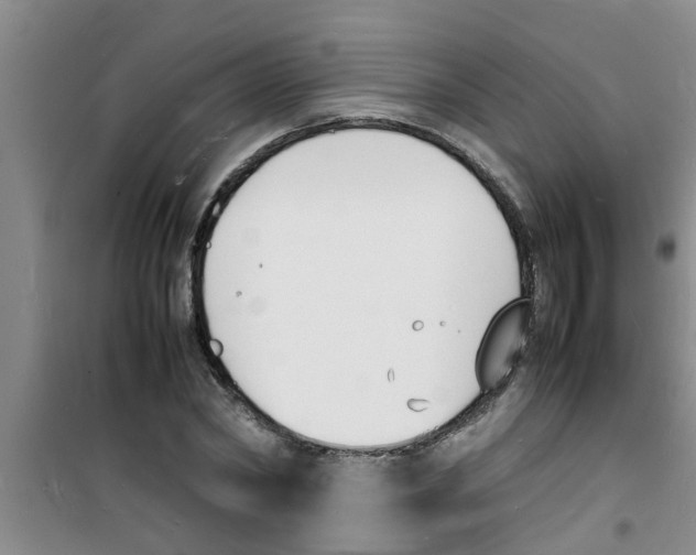 X0000100980782200807221232