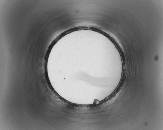 X0000100980783200807221232