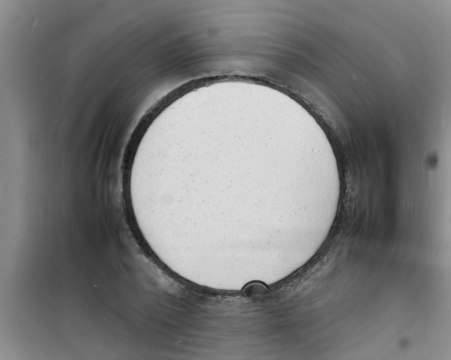 X0000100980784200807221232