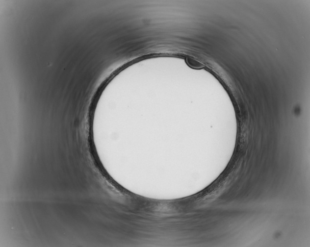 X0000100980787200807221232