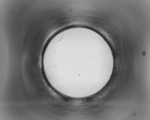 X0000100980791200807221232