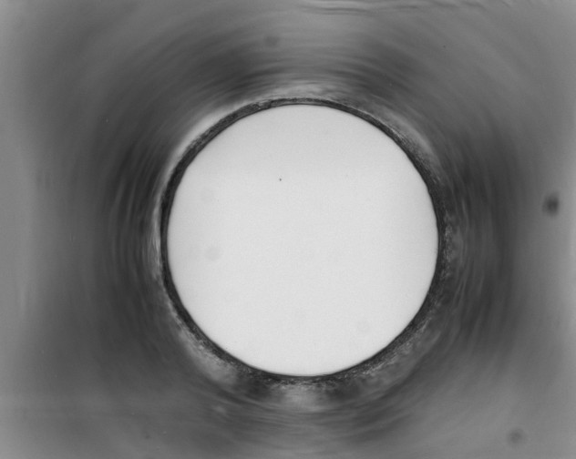 X0000100980792200807221232