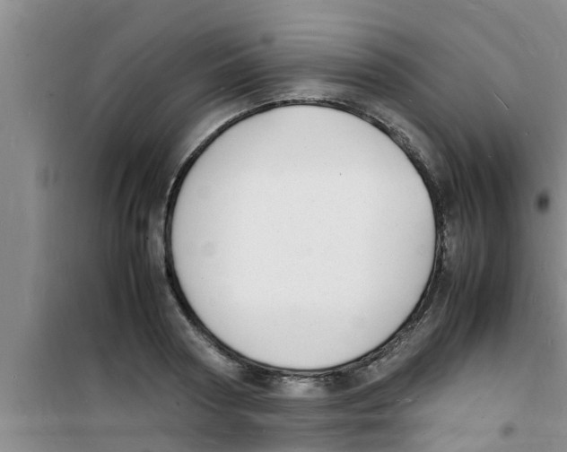 X0000100980794200807221232