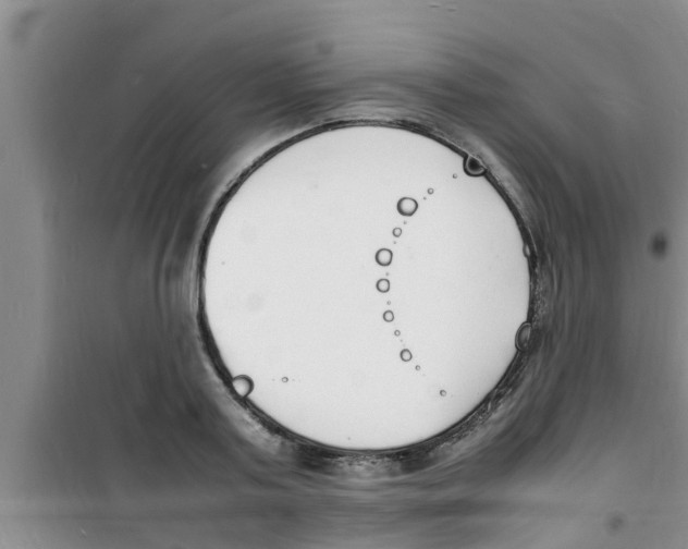 X0000100980795200807221232