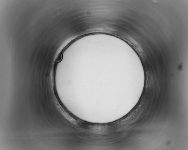 X0000100980796200807221232