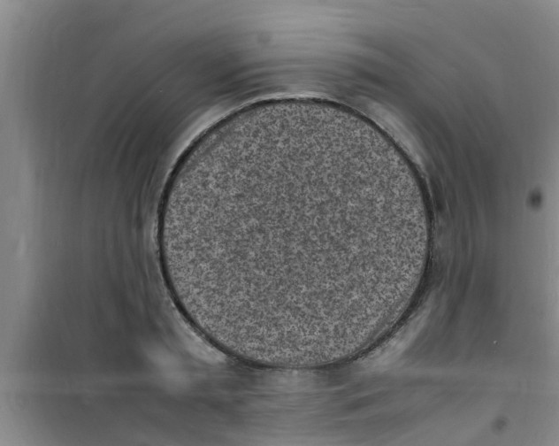 X0000100980797200807221232