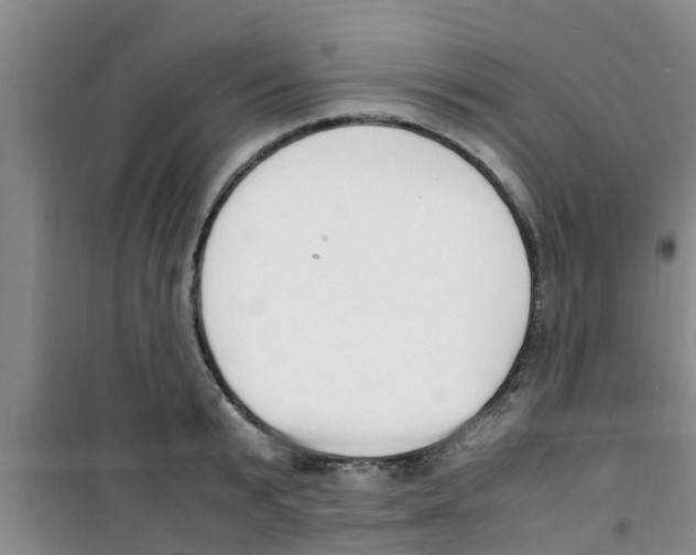 X0000100980799200807221232