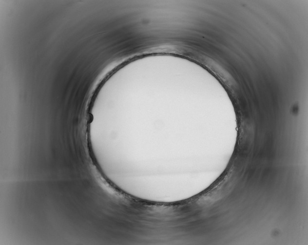 X0000100980800200807221232