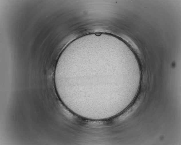 X0000100980801200807221232