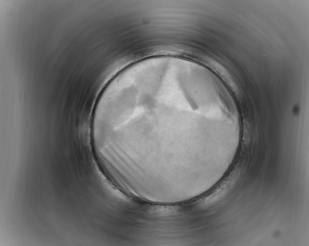 X0000100980802200807221232