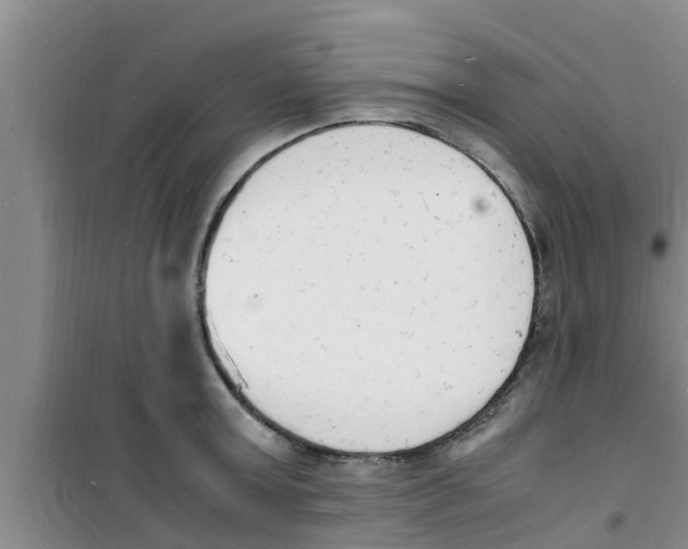 X0000100980803200807221232