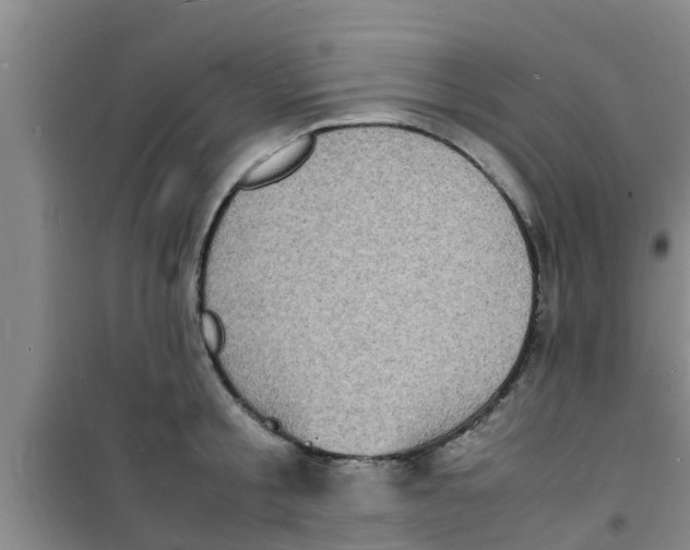 X0000100980805200807221232