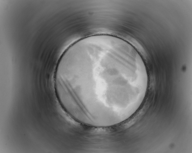 X0000100980806200807221232