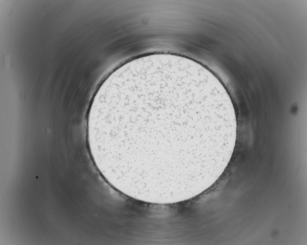 X0000100980807200807221232