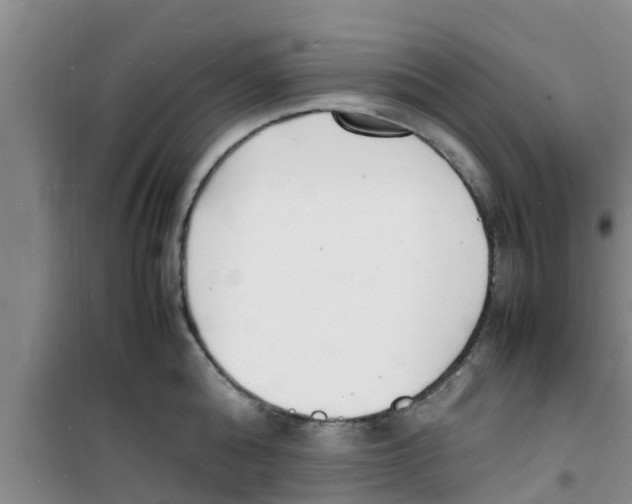 X0000100980808200807221232