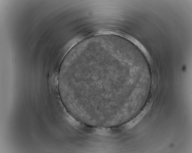 X0000100980809200807221232