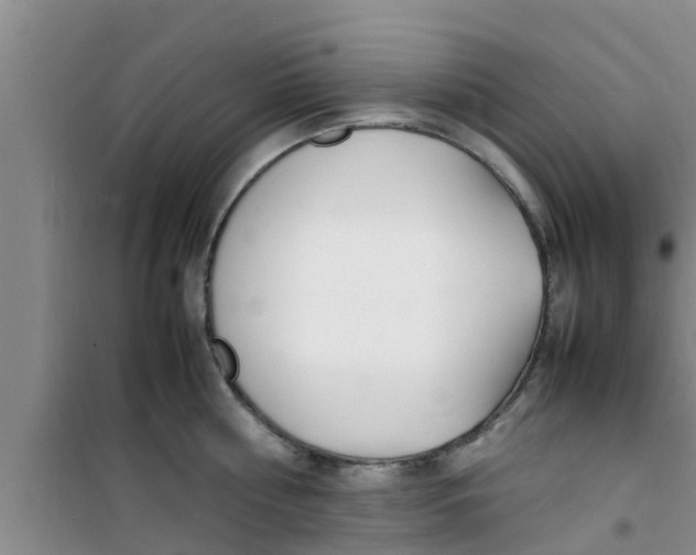 X0000100980810200807221232