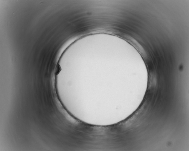 X0000100980812200807221232