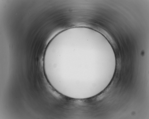 X0000100980814200807221232