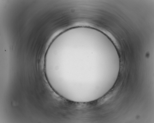 X0000100980815200807221232