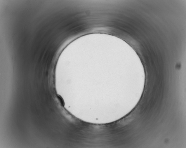 X0000100980816200807221232