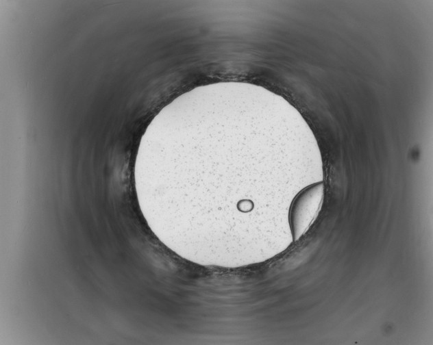 X0000100980818200807221231