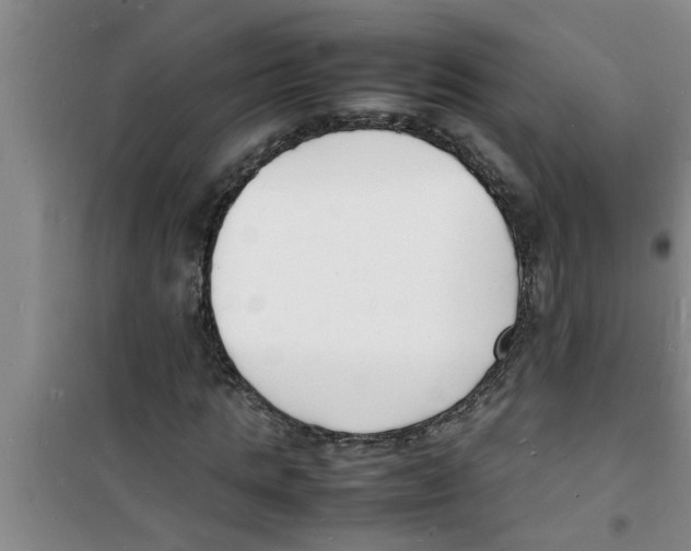 X0000100980821200807221231