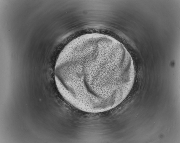 X0000100980822200807221231