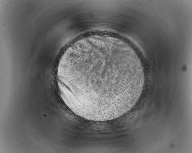 X0000100980823200807221231