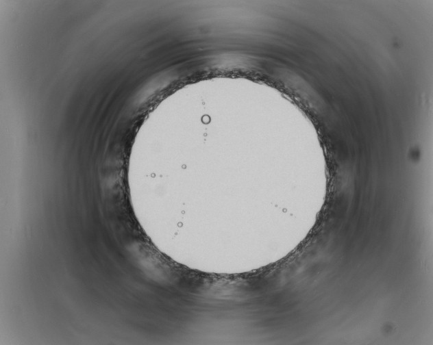 X0000100980824200807221231