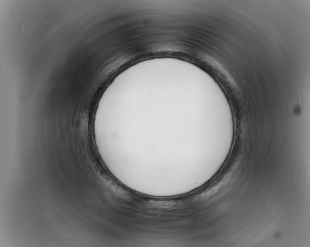 X0000100980825200807221231