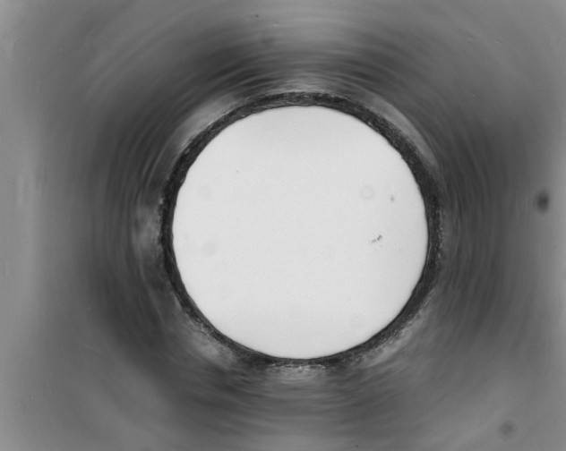 X0000100980826200807221231