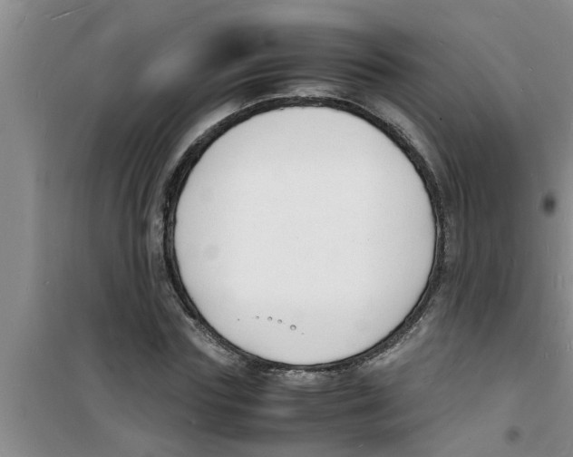 X0000100980827200807221231