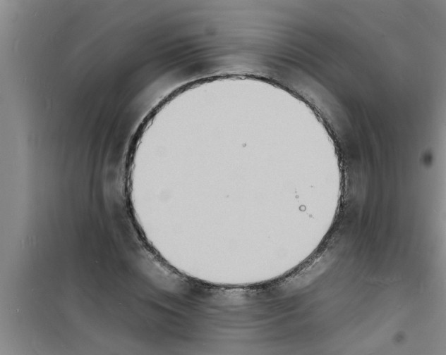 X0000100980828200807221231