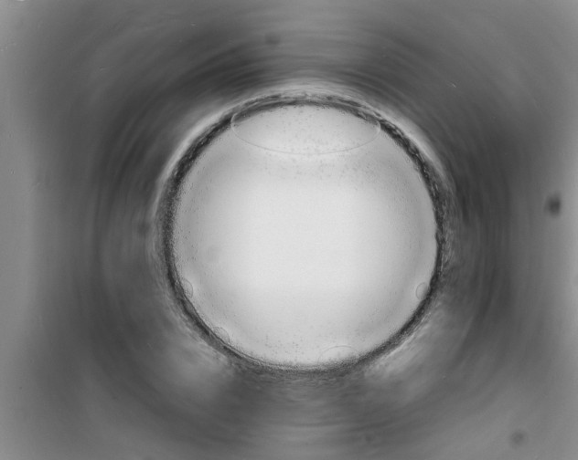 X0000100980832200807221231