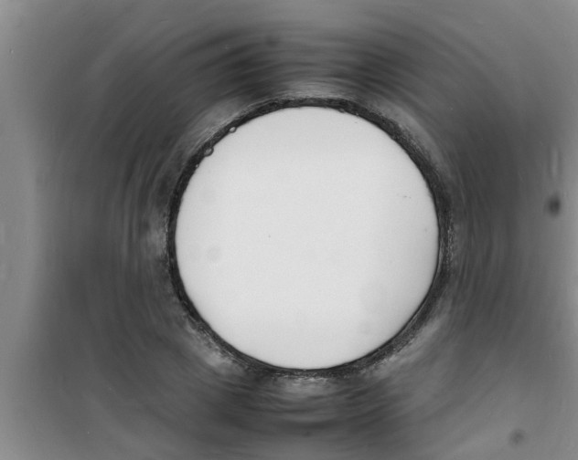 X0000100980833200807221231